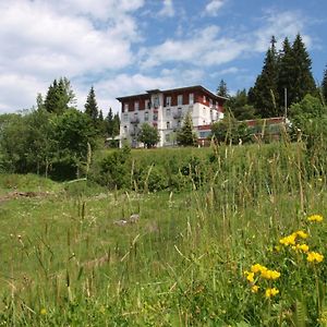 Das Waldhotel - Genuss&Wellness am Notschreipass